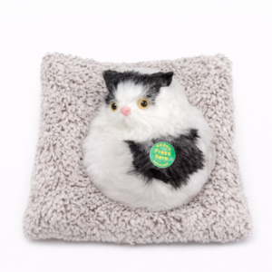 Cute Cat Soft Toy